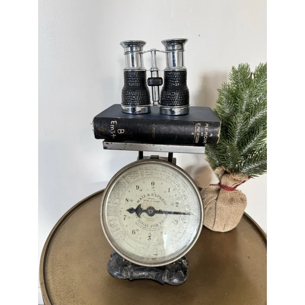 Vintage Style Glass Decorative Binoculars Metal Decor Home